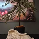 Olive Ultracentral *