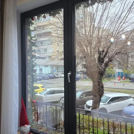 Olive Ultracentral Craiova