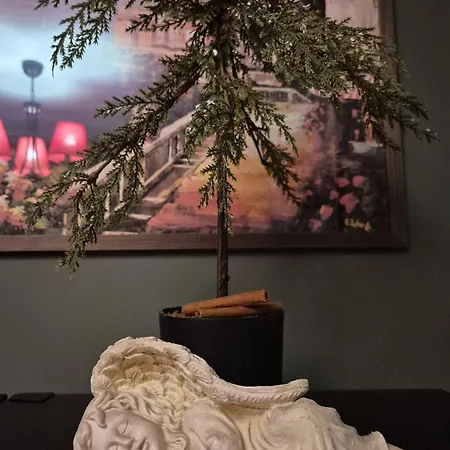 Olive Ultracentral *