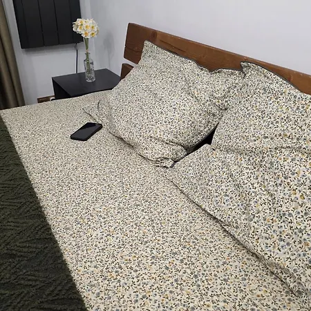 Olive Ultracentral Apartment Craiova