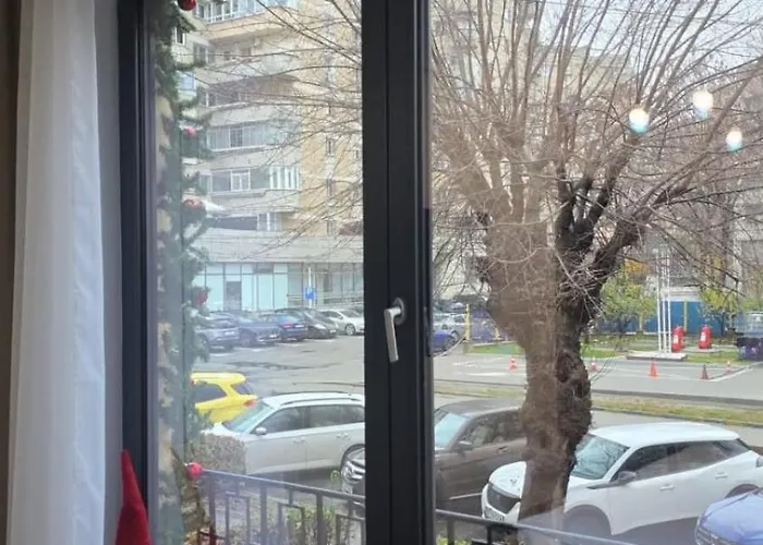 Olive Ultracentral Craiova