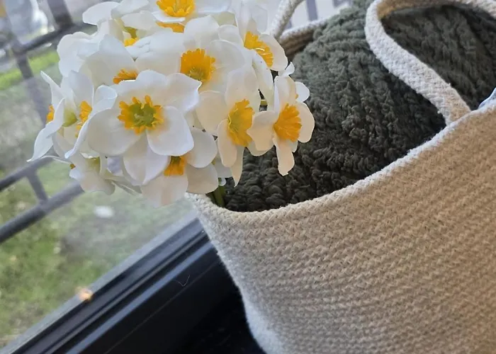 Olive Ultracentral *