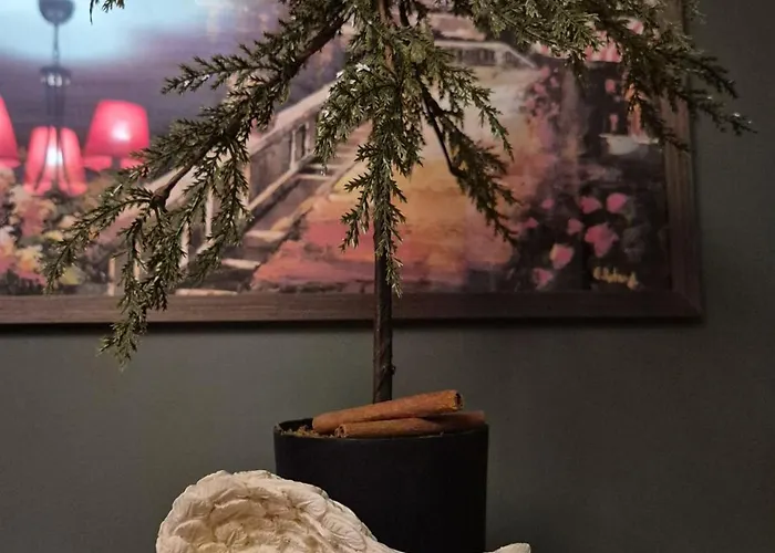 Olive Ultracentral *