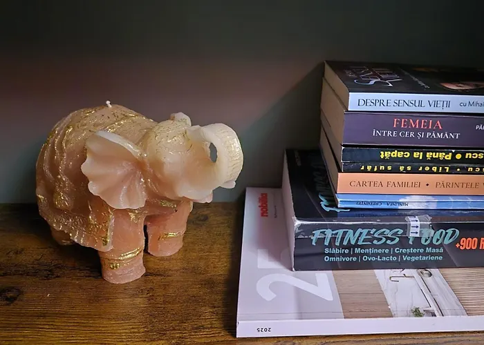 Apartamento Olive Ultracentral Craiova