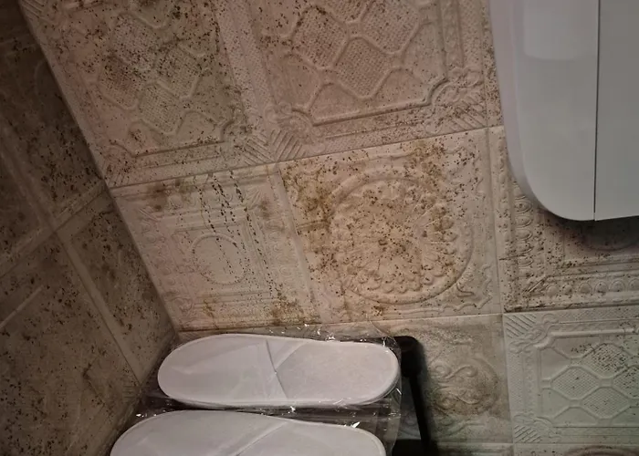 Olive Ultracentral Craiova