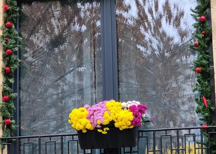 Olive Ultracentral Apartamento